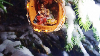 Seimi pähkinänkuoressa ulkona