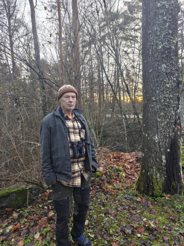 Liito-orava-asiantuntija Ralf Wistbacka paikan päällä Vaasan hautuumaalla