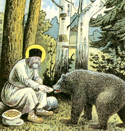Pyhittaja_Serafim_Sarovilainen_ruokkii_karhua_metsassa