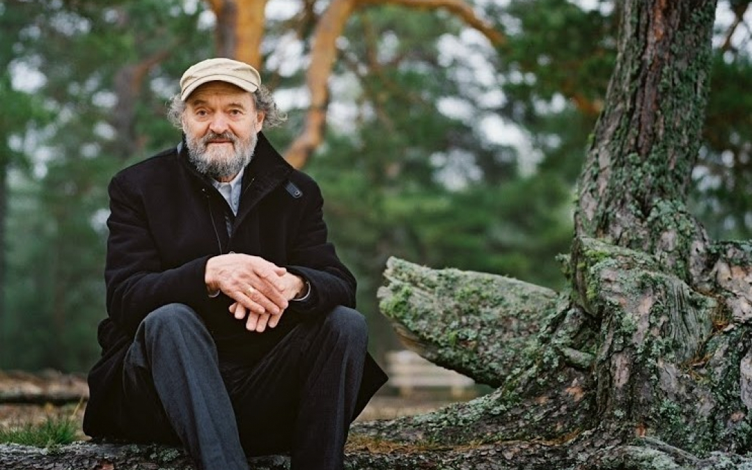 Arvo Pärt istuu männyn juurella