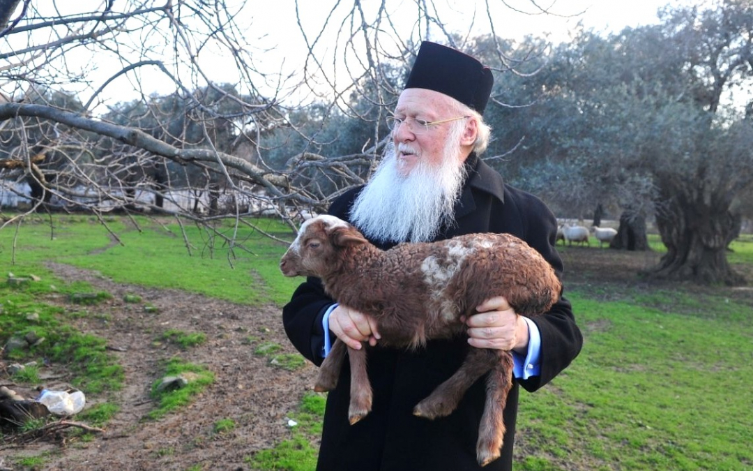 Patriarkka Bartolomeos lammas sylissään