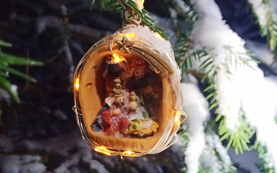 Seimi pähkinänkuoressa ulkona