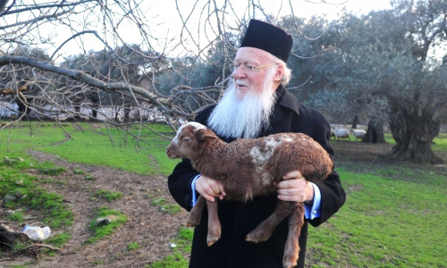Patriarkka Bartolomeos lammas sylissään