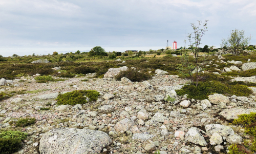 Kivikkoista rantaatön Utön majakan luona